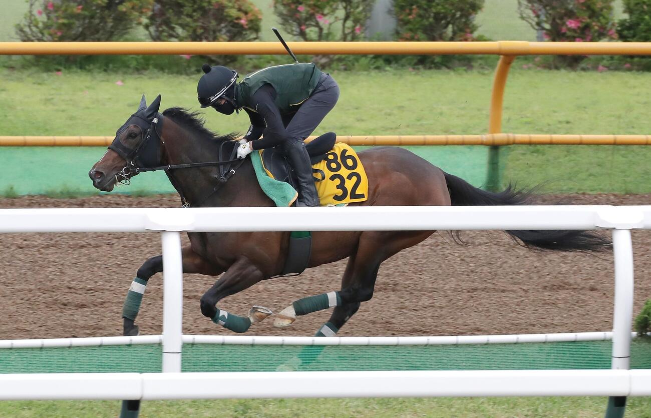 ウッドチップコースで追い切られるエラトー