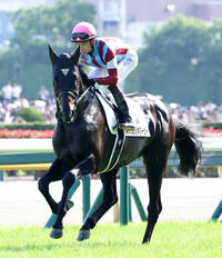 競馬 : 日刊スポーツ