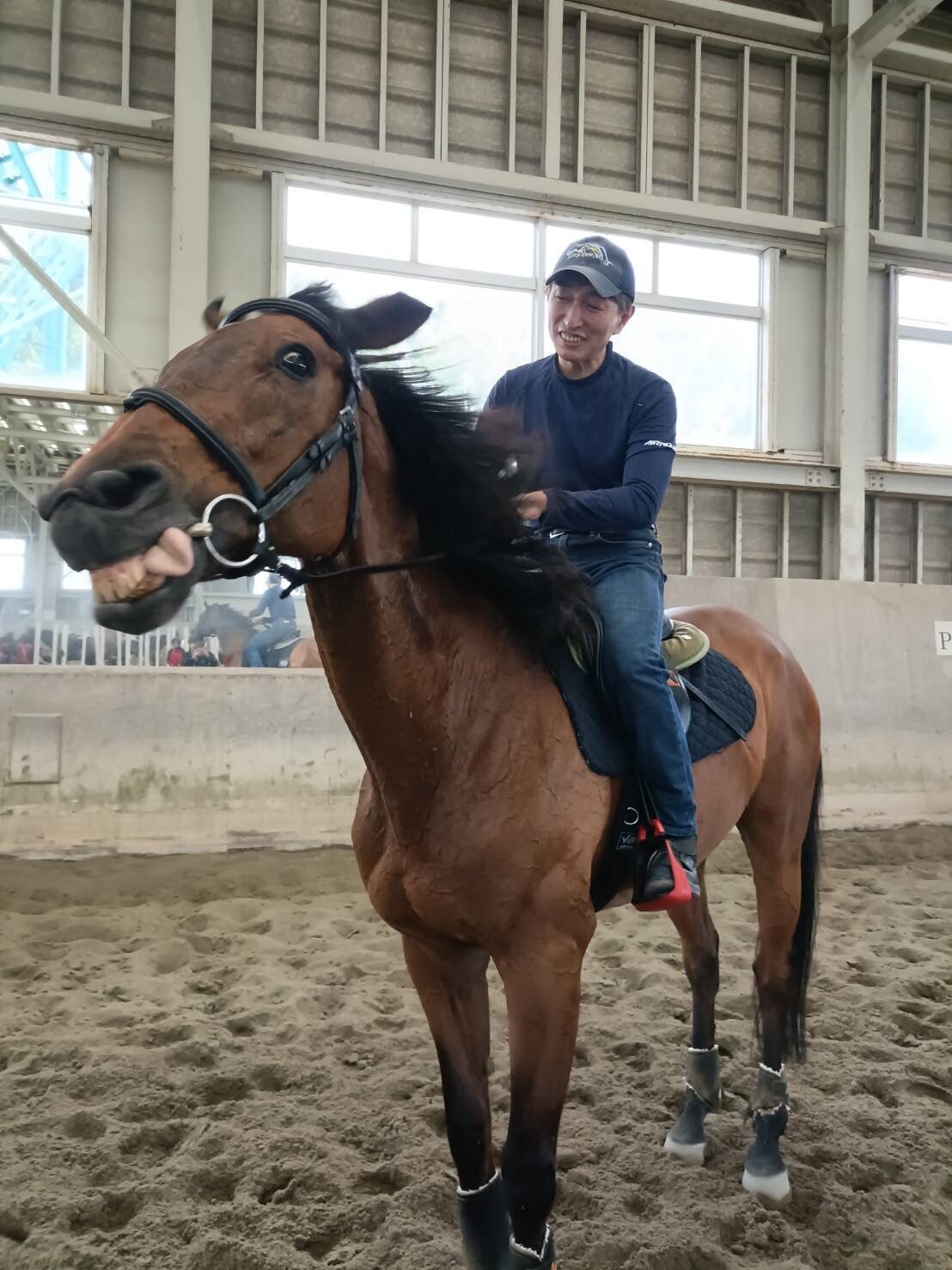 函館競馬場で誘導馬として活躍するクリンチャーと再会し、またがった長谷川万人助手（写真は本人提供）