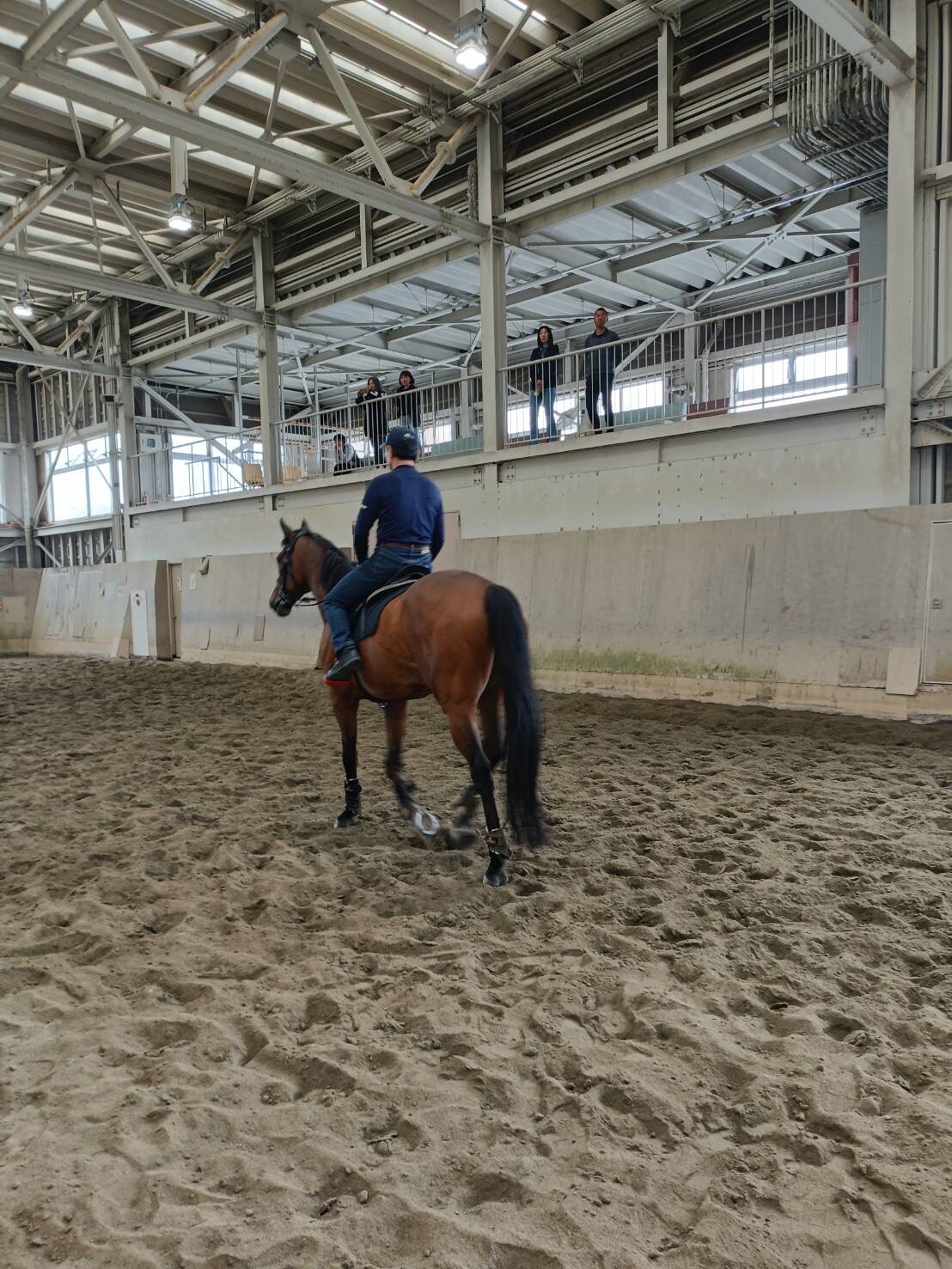 函館競馬場で誘導馬として活躍するクリンチャーと再会し、またがった長谷川万人助手（写真は本人提供）