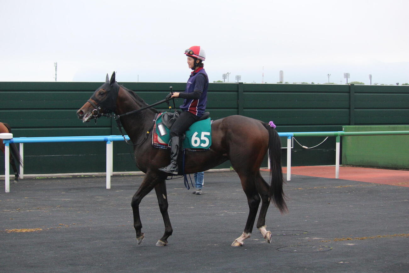 函館競馬場で調整中のロジクラウン（撮影・木南友輔）
