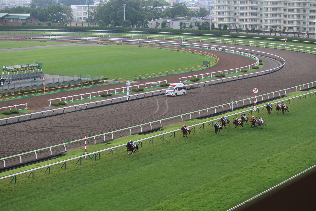 函館5Rはゴドルフィンのフレイコンが怪物級のパフォーマンス（撮影・木南友輔）