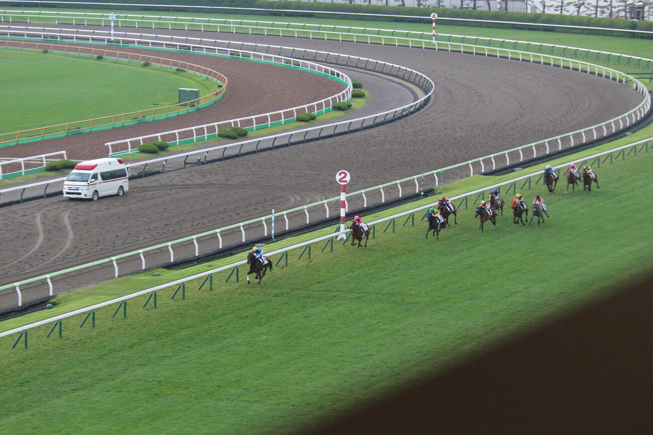 函館5Rはゴドルフィンのフレイコンが怪物級のパフォーマンス（撮影・木南友輔）