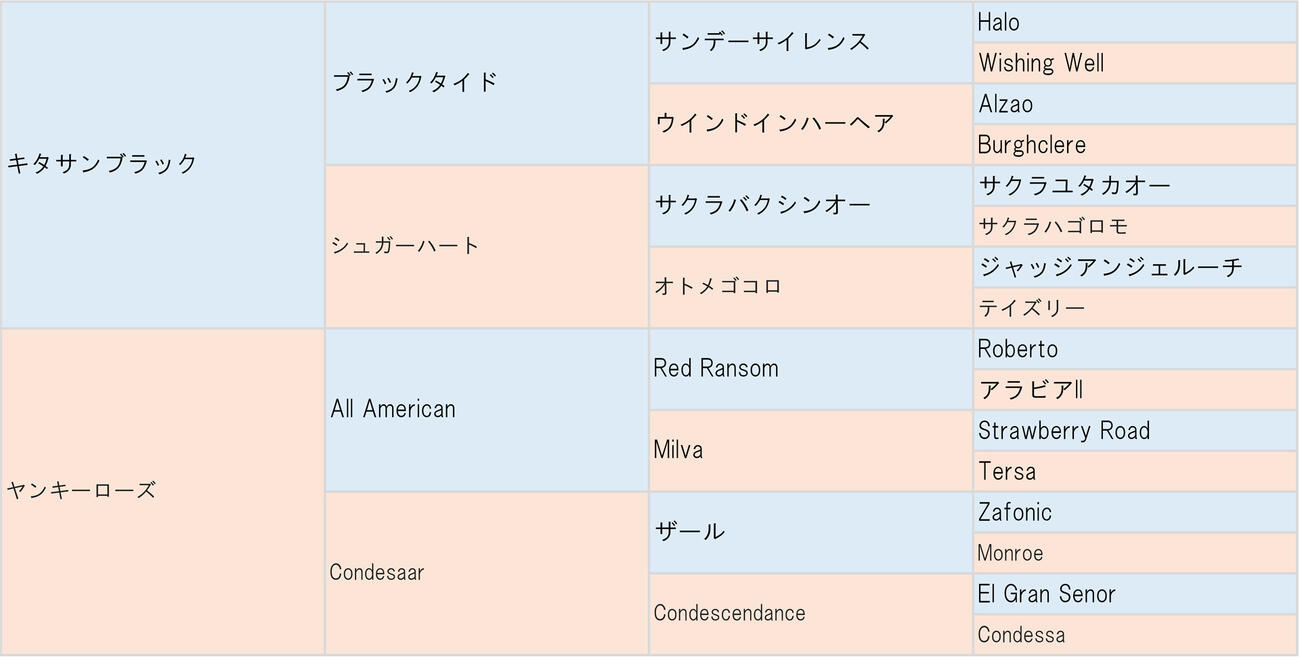 ヤンキーローズの26血統表