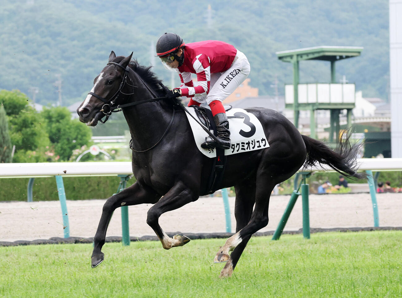 福島5R、2歳新馬戦で14着のタクミオジュウ（撮影・鈴木正人）