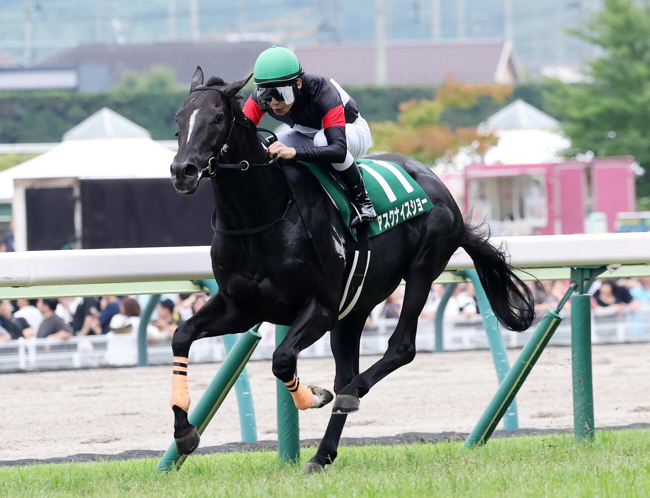 七夕賞を制したアスクナイスショーと田辺裕信騎手（撮影・鈴木正人）