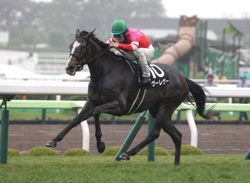 8番人気ヴーレヴーが3馬身半差の快勝!吉田隼騎手「びっくりしました。頑張ってくれた」/巴賞