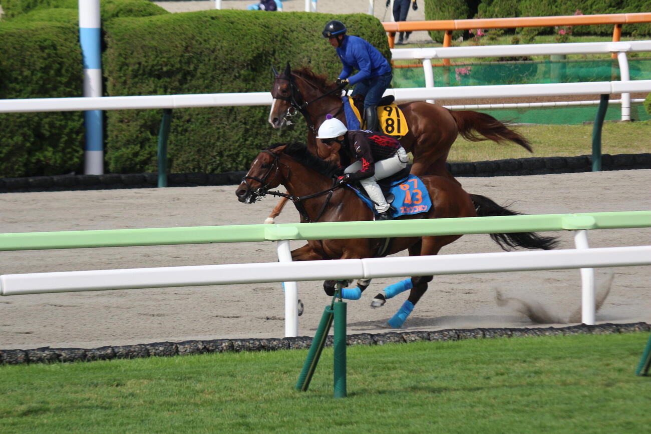 七夕賞へ向け函館競馬場で追い切りを行ったオニャンコポンと小島師（撮影・木南友輔）