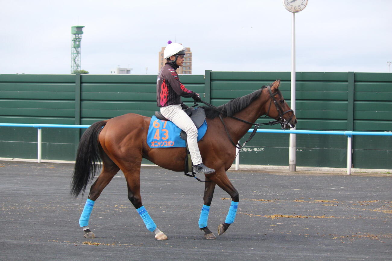 七夕賞へ向け函館競馬場で追い切りを行ったオニャンコポンと小島師（撮影・木南友輔）