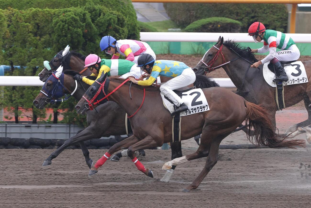 函館7Rをヒミノエトワールで制し5000勝を達成した武豊騎手