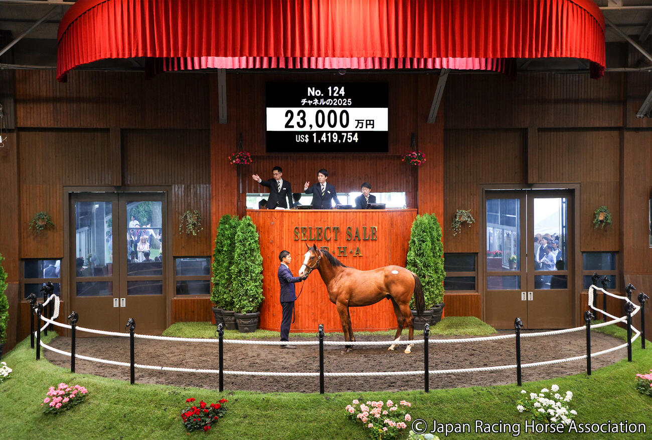 2億3000万円で落札されたチャネルの25