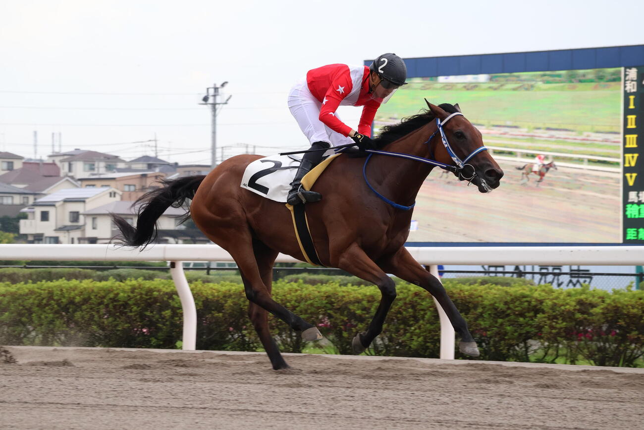 浦和4Rをアンジュレーヌで勝利し、地方競馬通算600勝を達成した川崎の野畑凌騎手