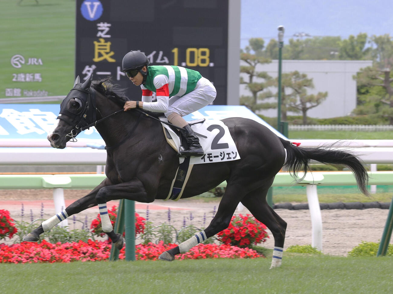 6月20日函館5R新馬戦を制したイモージェン
