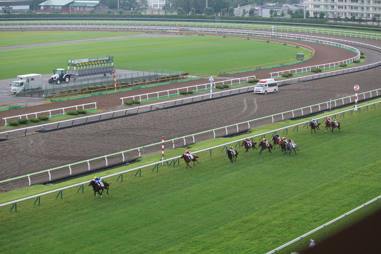函館5Rはゴドルフィンのフレイコンが怪物級のパフォーマンス（撮影・木南友輔）