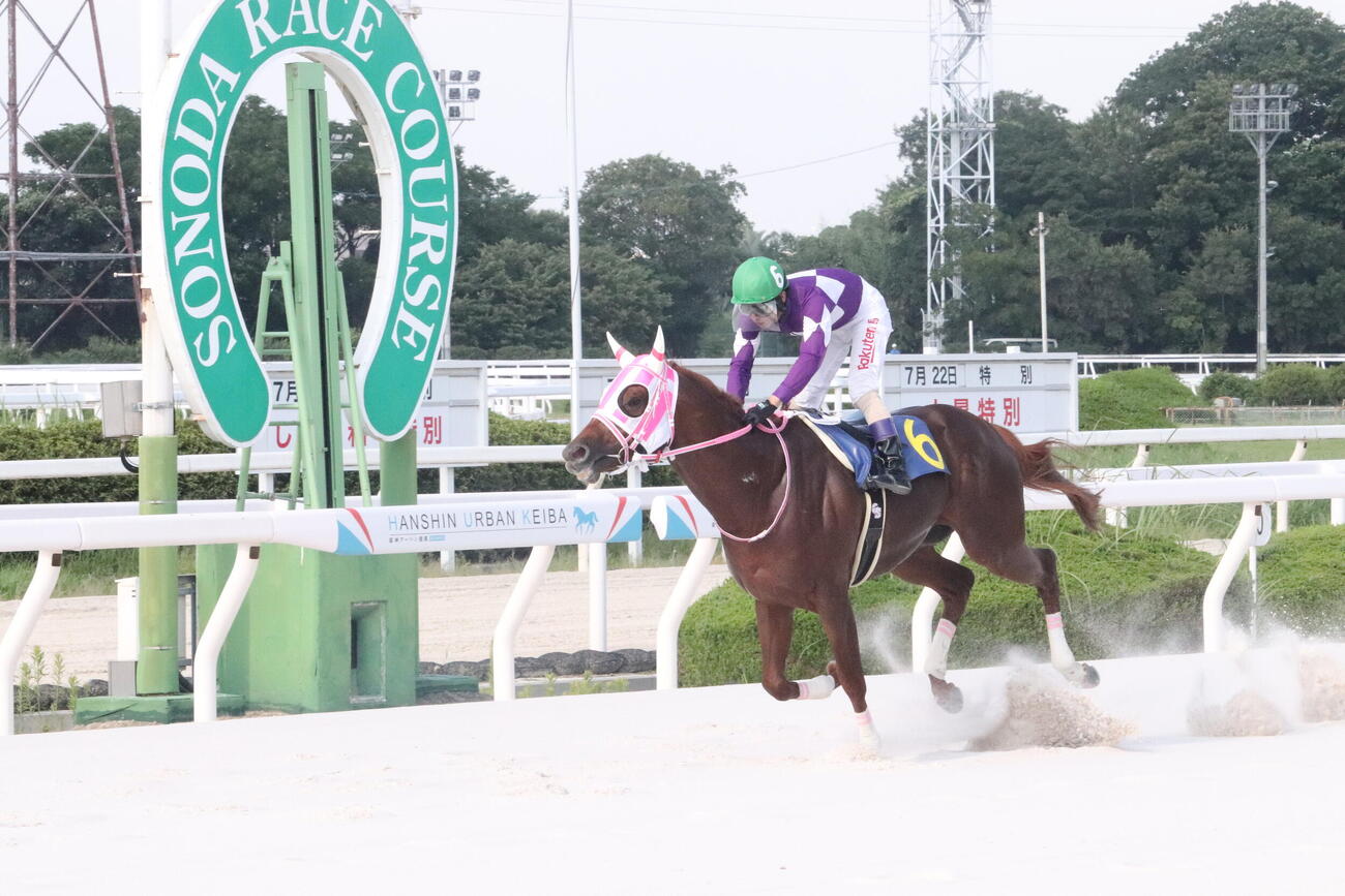 園田11Rしまね和牛特別を勝利した3冠馬オケマル