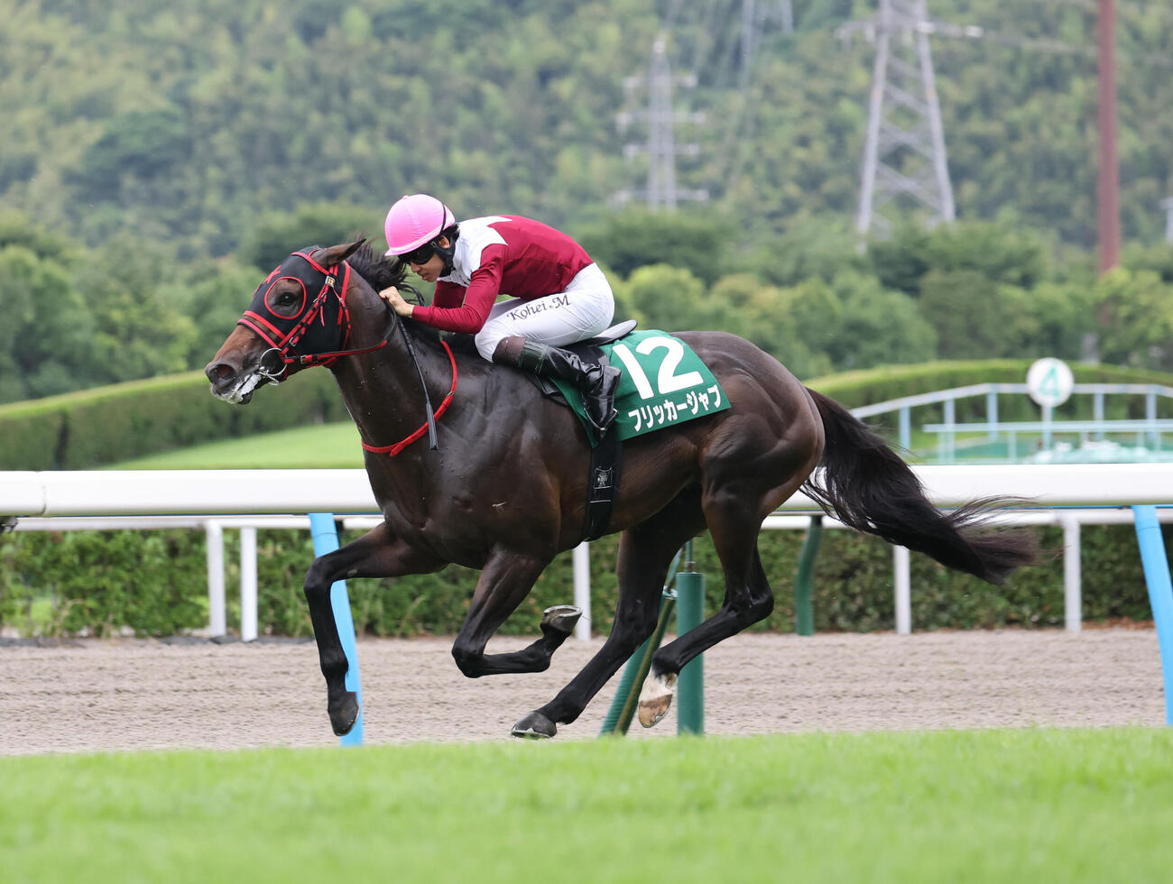 北九州記念を制したフリッカージャブ（2026年7月5日撮影）