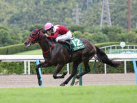 競馬 : 日刊スポーツ