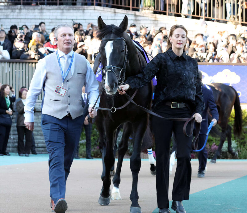 ジャパンCのパドックを歩くオーギュストロダン（2024年11月）