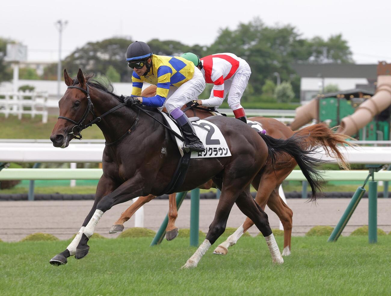 函館1R2歳未勝利を制したロジクラウン