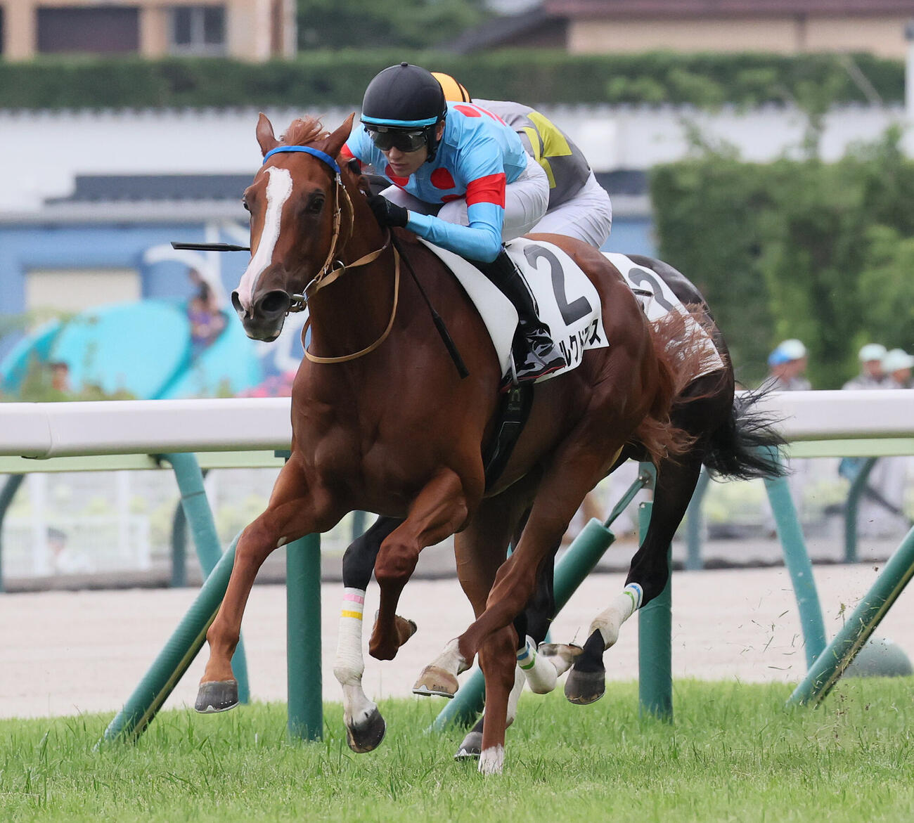 福島5R、2歳新馬戦を制したシルクドマルスと坂井瑠星騎手（撮影・丹羽敏通）