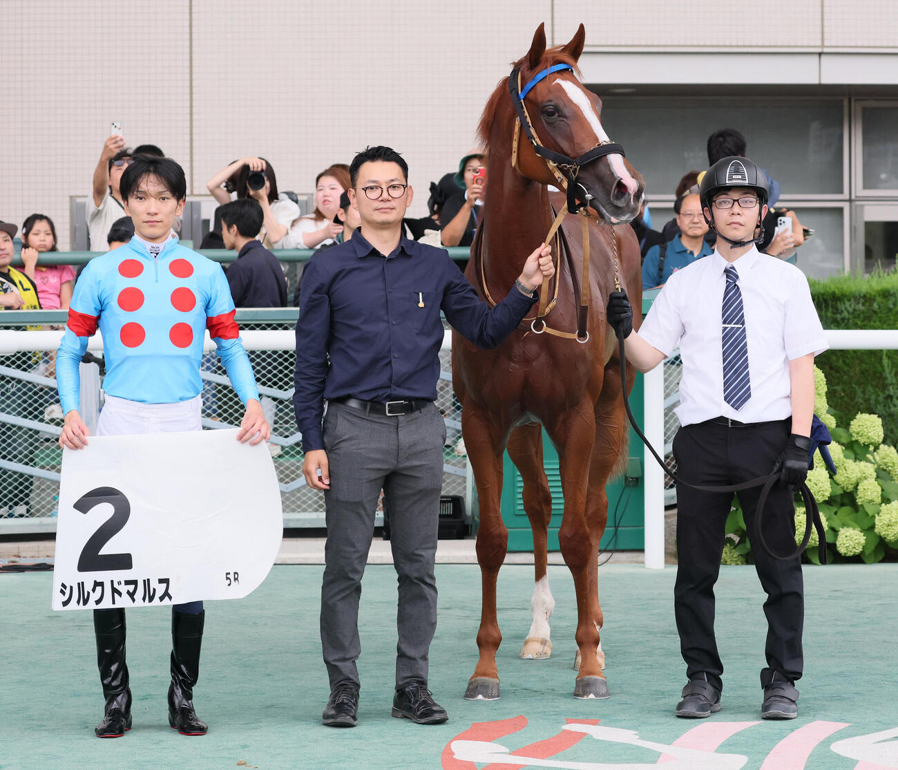 福島5R、2歳新馬戦を制したシルクドマルスの口取りをする坂井瑠星騎手（撮影・丹羽敏通）