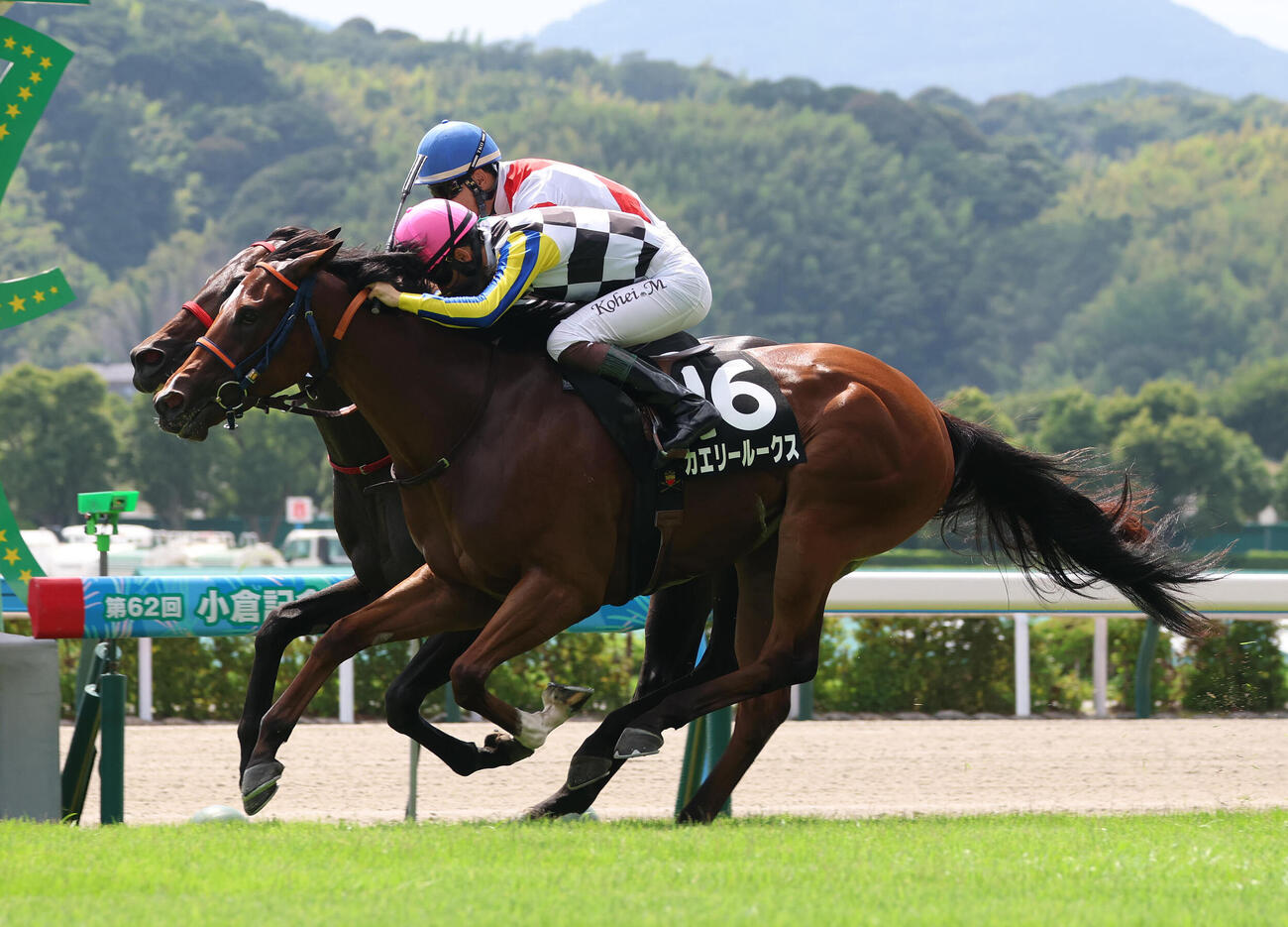 小倉9R、タカヨシ（奥）との競り合いを制しひまわり賞を勝利したカエリールークス（撮影・白石智彦）