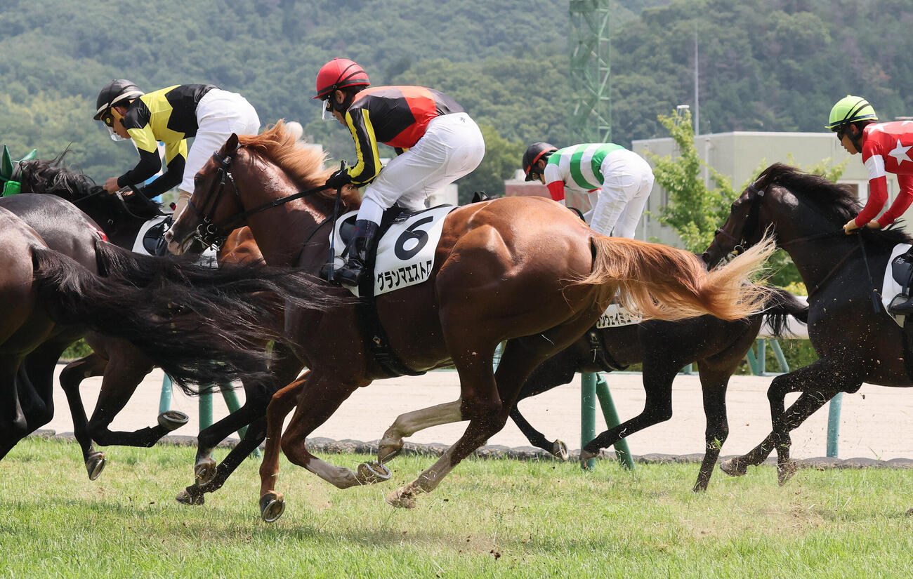 福島3R、3歳未勝利戦を8着でゴールしたグランマエストロと戸崎圭太騎手（撮影・丹羽敏通）