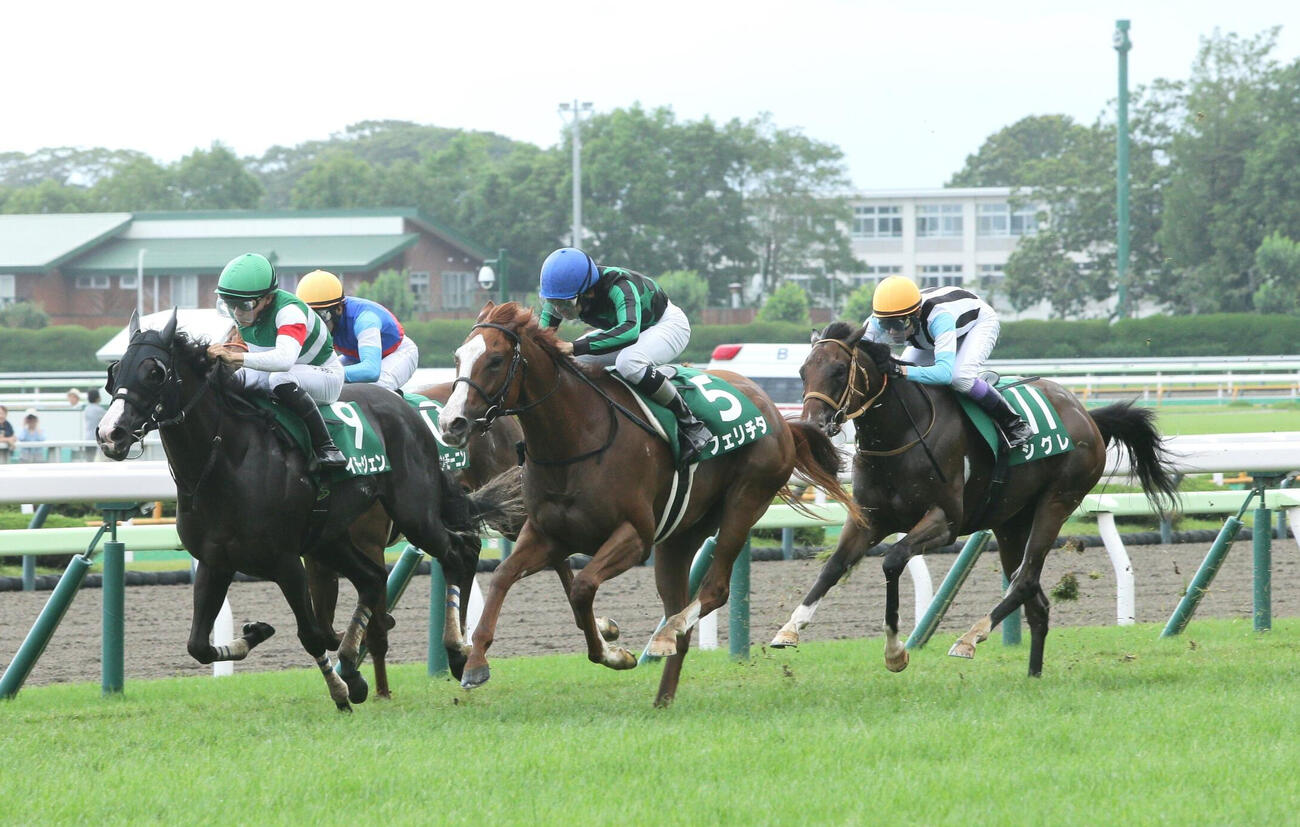 フェリチタが制した函館2歳S