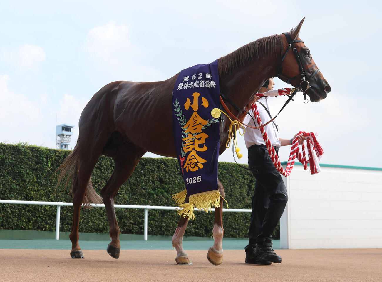 小倉記念を制したゼンダンハヤブサ（撮影・白石智彦）