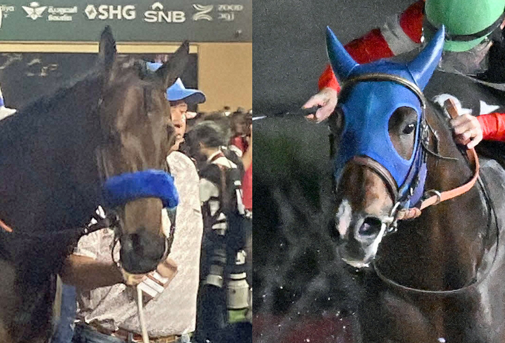ナイソス（左）とフィンガー