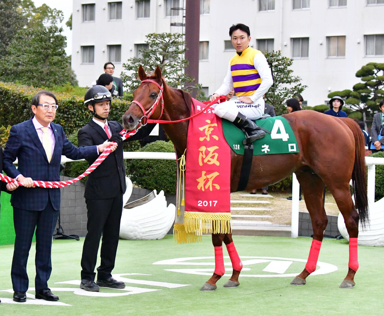 京阪杯を制したネロ（2017年11月撮影）
