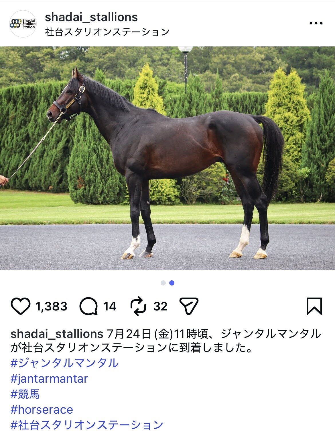 種牡馬入りしたジャンタルマンタルは社台スタリオンステーションに到着した