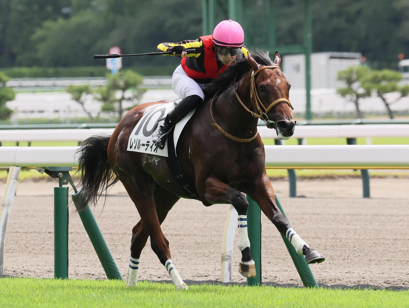 新潟1R、2歳未勝利戦を制したレゾルーティオと斎藤新騎手（撮影・丹羽敏通）