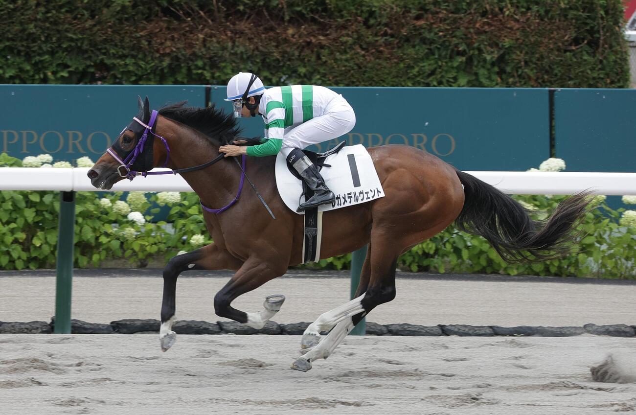 札幌5R、新馬戦を制したレガメデルヴェント