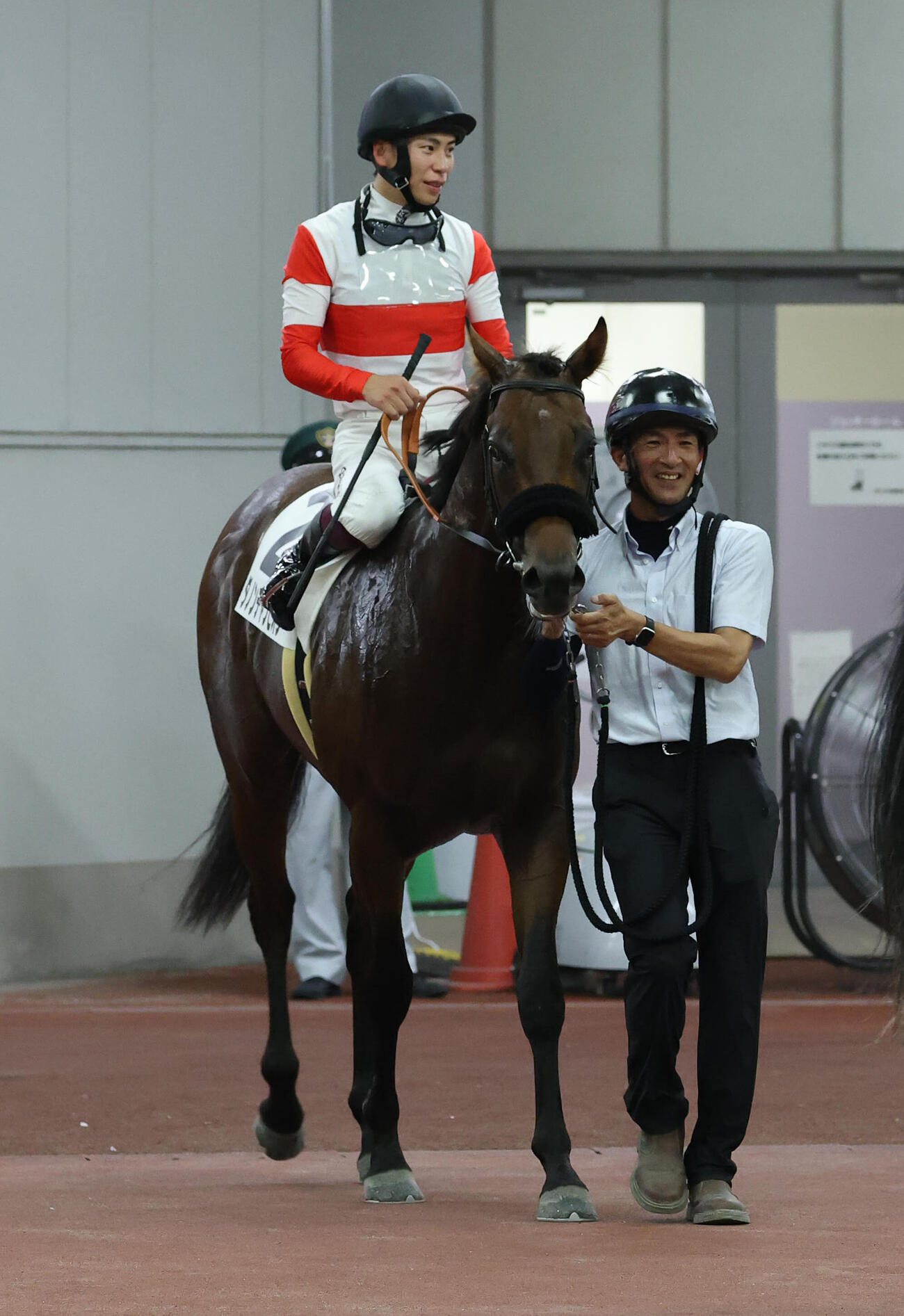 中京2R、新馬戦4着に敗れたダノンチャンピオン（撮影・白石智彦）