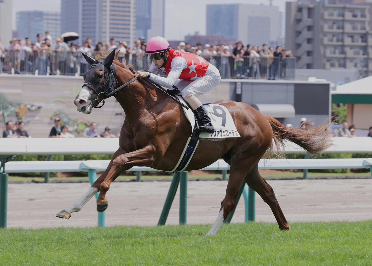 札幌5R、新馬戦を制したノヴァヴェローチェ