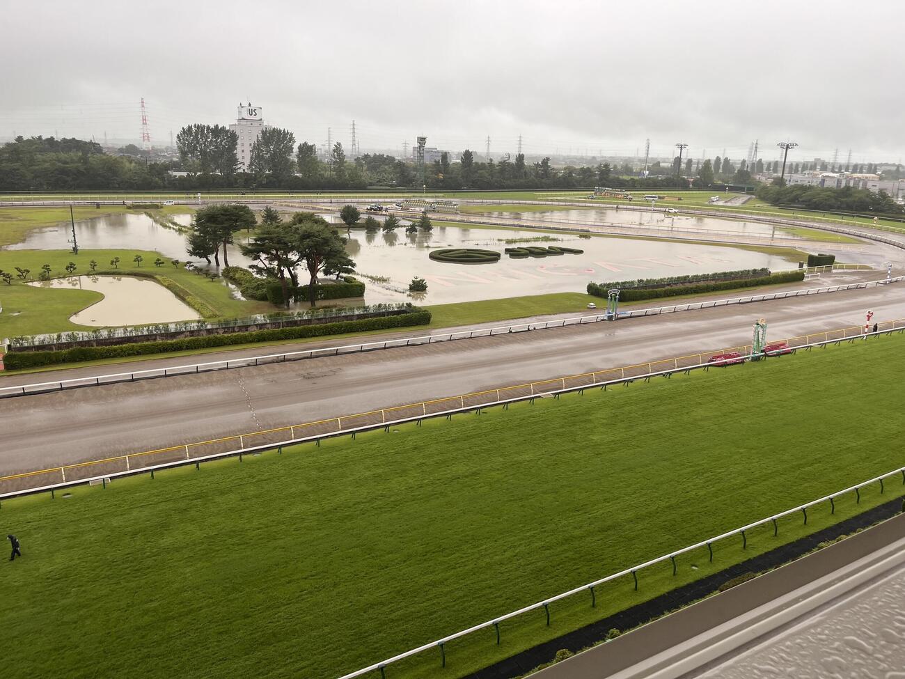 新潟競馬場の馬場内芝生エリアは、大雨の影響で一部冠水した