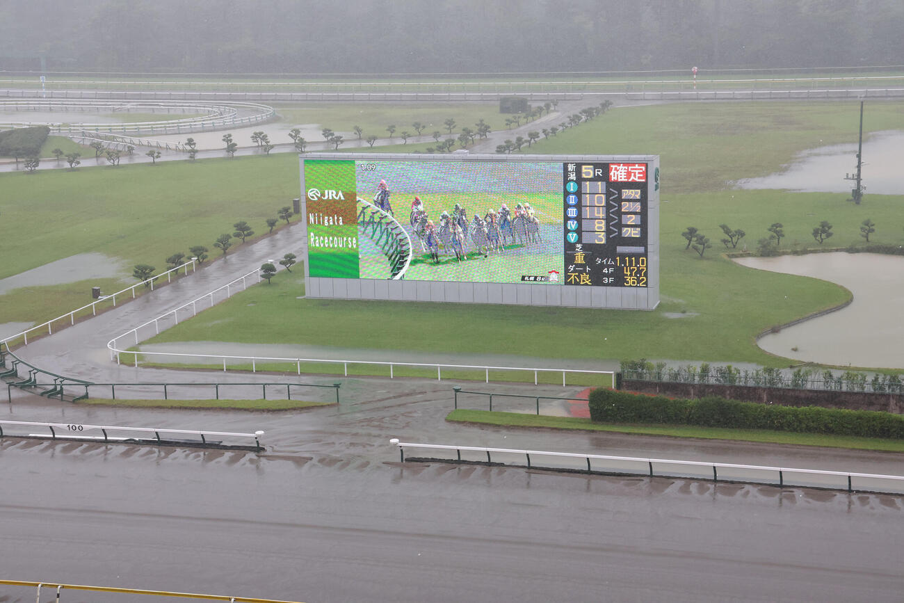 雨に煙る新潟競馬場のターフビジョンには、札幌競馬場のレース映像が流れていた（撮影・丹羽敏通）