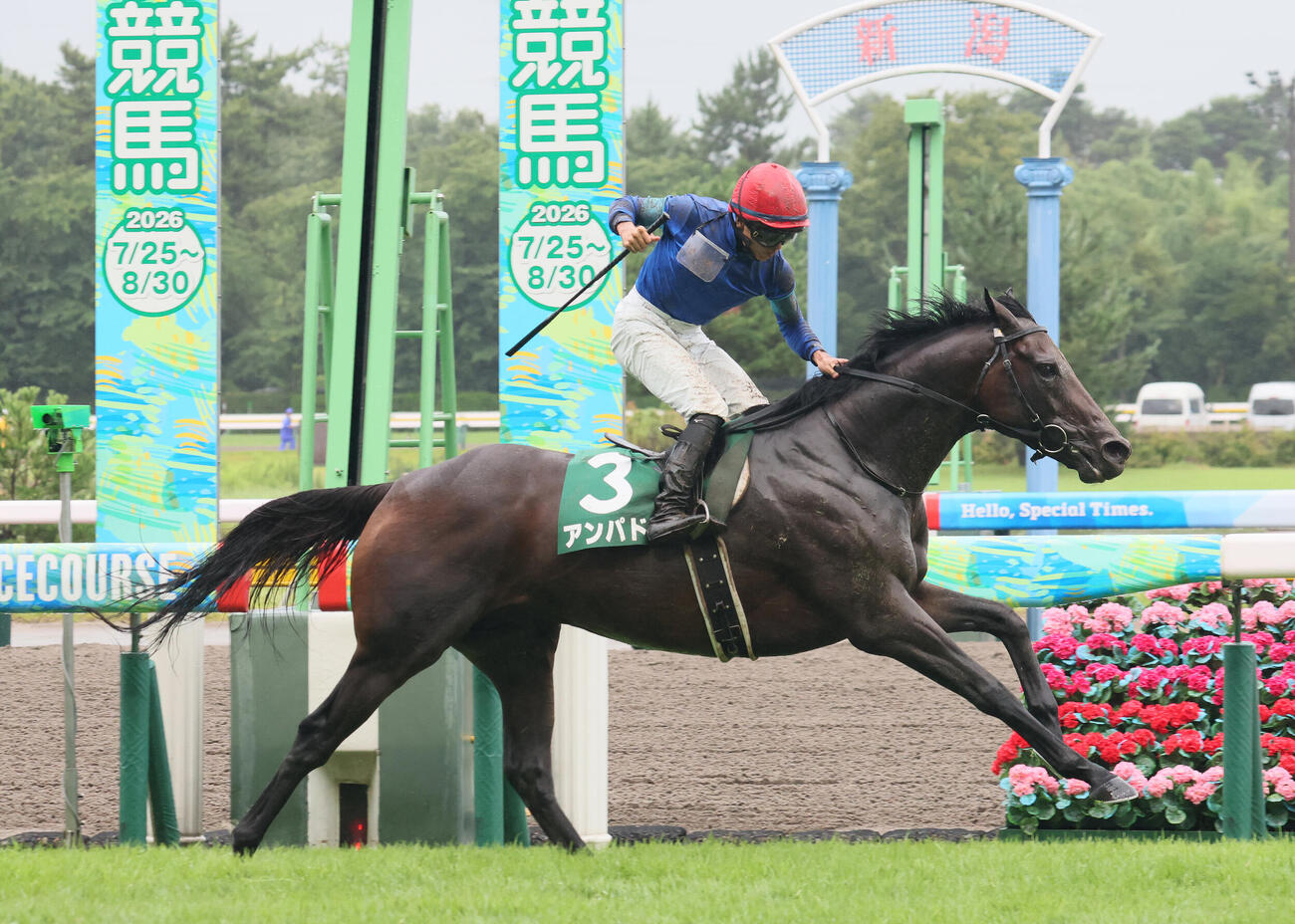 アンパドゥで関屋記念を制して、ガッツポーズを決める岩田望来騎手（撮影・丹羽敏通）