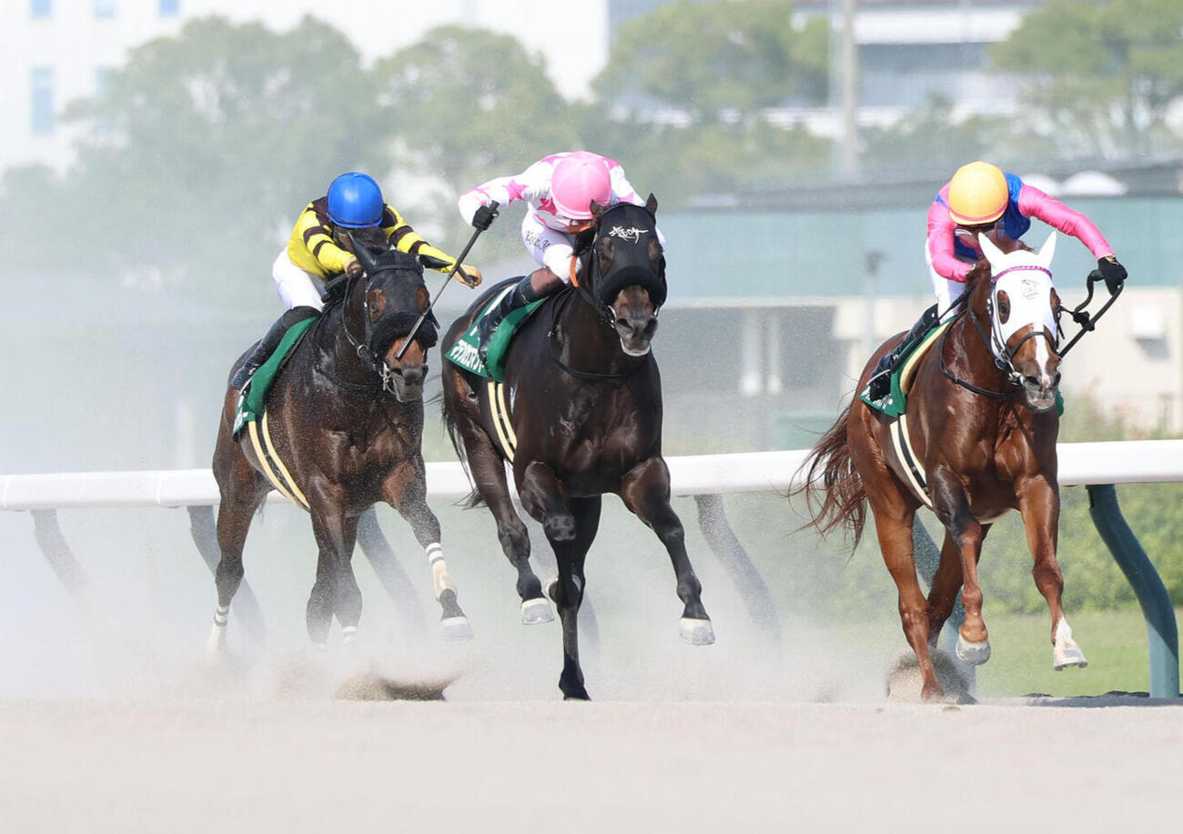東海S3着に敗れたドンインザムード（左）。中央は勝ったマテンロウコマンド（撮影・白石智彦）