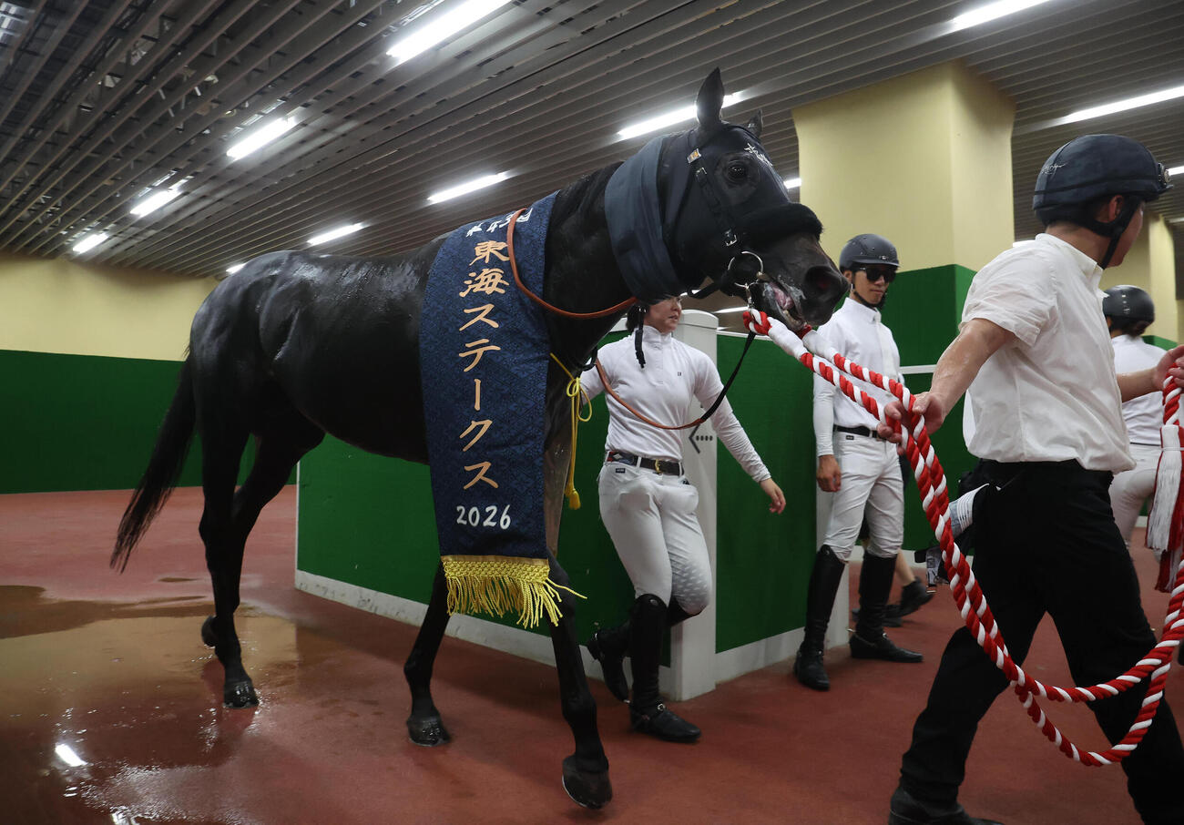 中京7R、東海Sを制したマテンロウコマンド（撮影・白石智彦）