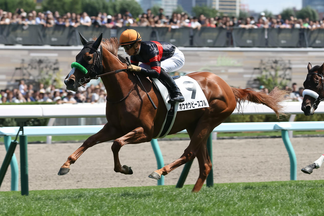 2019年8月18日札幌5R、デビュー戦を制したホウオウピースフル