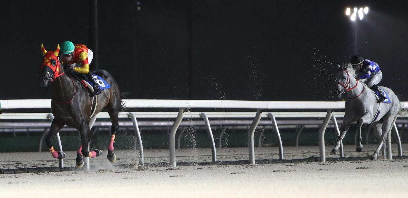 旭岳賞3連覇を果たしたベルピット（騎手・桑村真明）