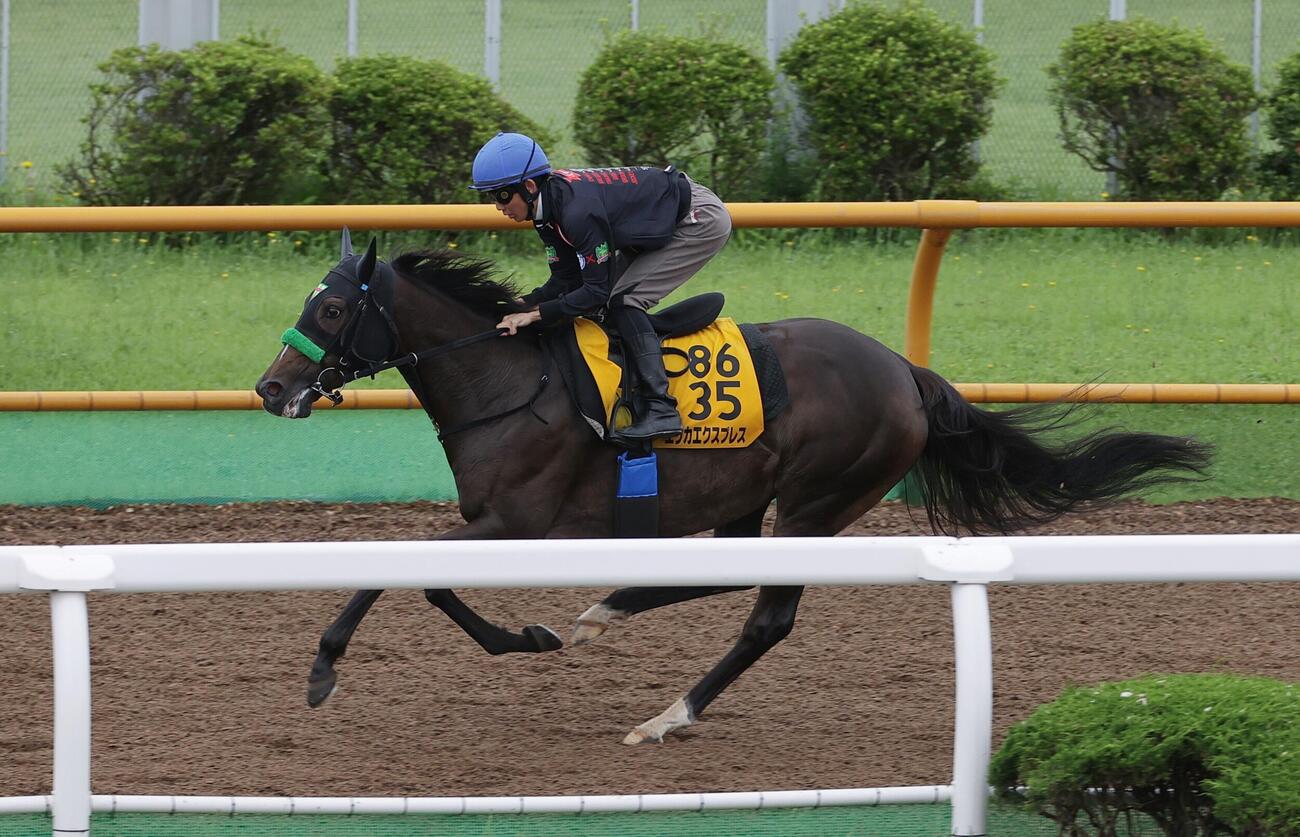 函館ウッドチップコースで追い切られるエリカエクスプレス