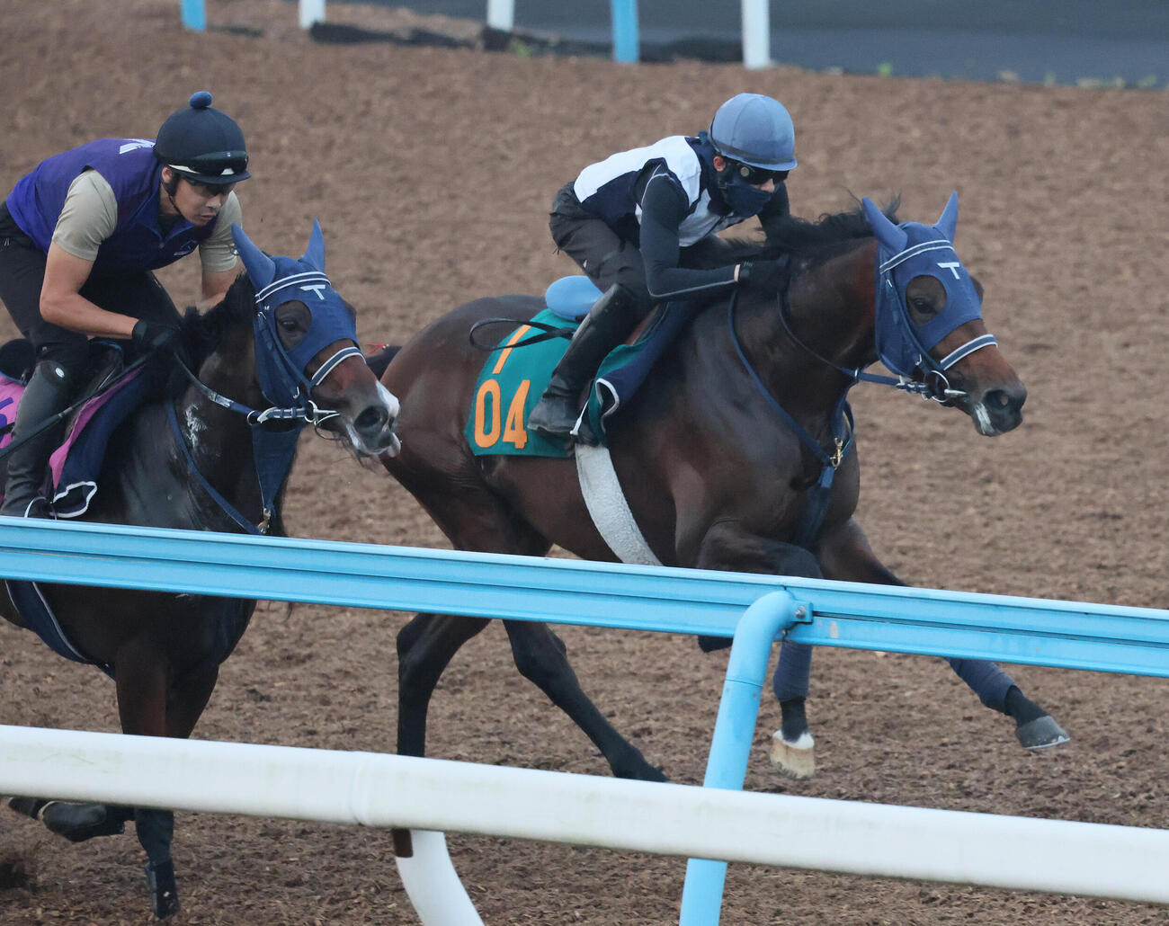 22日、シェーンリヒト（右）は美浦ウッドでモートンアイランドと併せて追い切られた