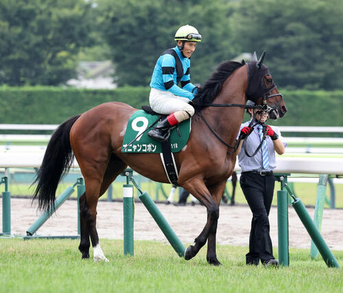 引退撤回オニャンコポンは8・16札幌記念目指す／有力馬情報 - 競馬写真