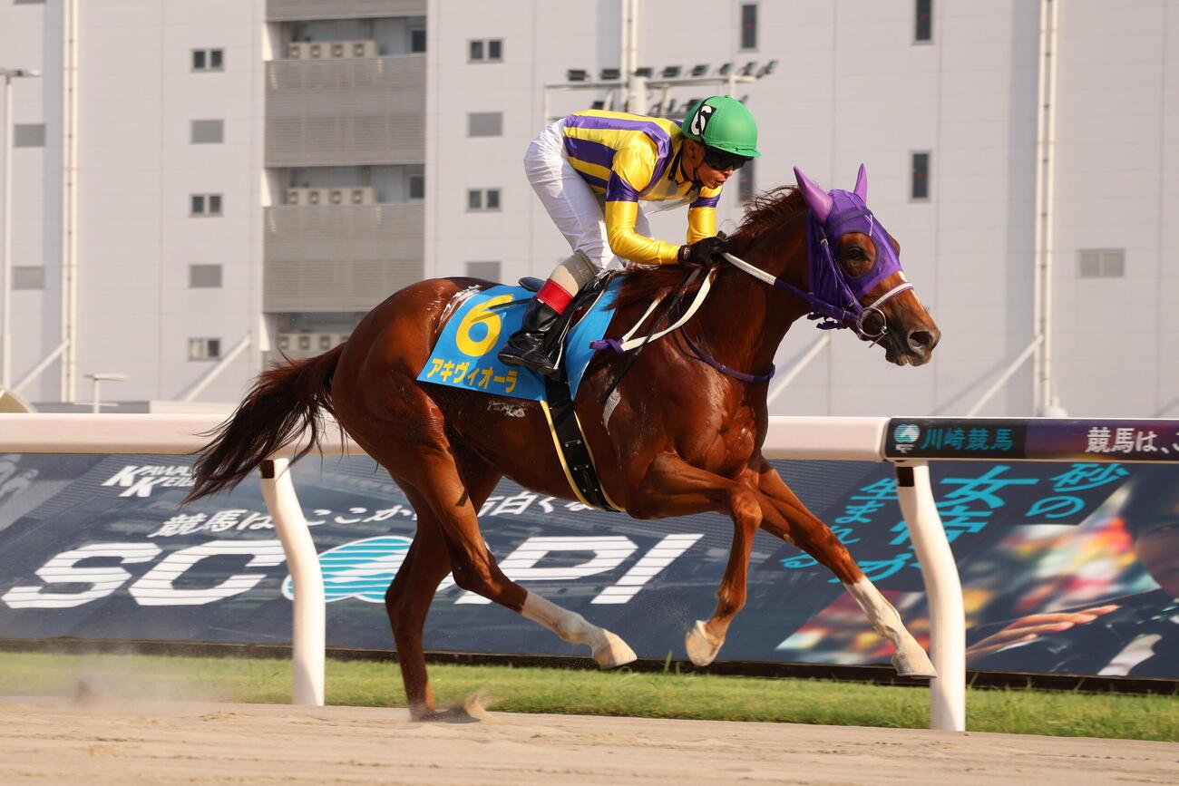 川崎4Rをアキヴィオーラが勝ち、騎乗した川崎の町田直希騎手は地方競馬通算1600勝を達成