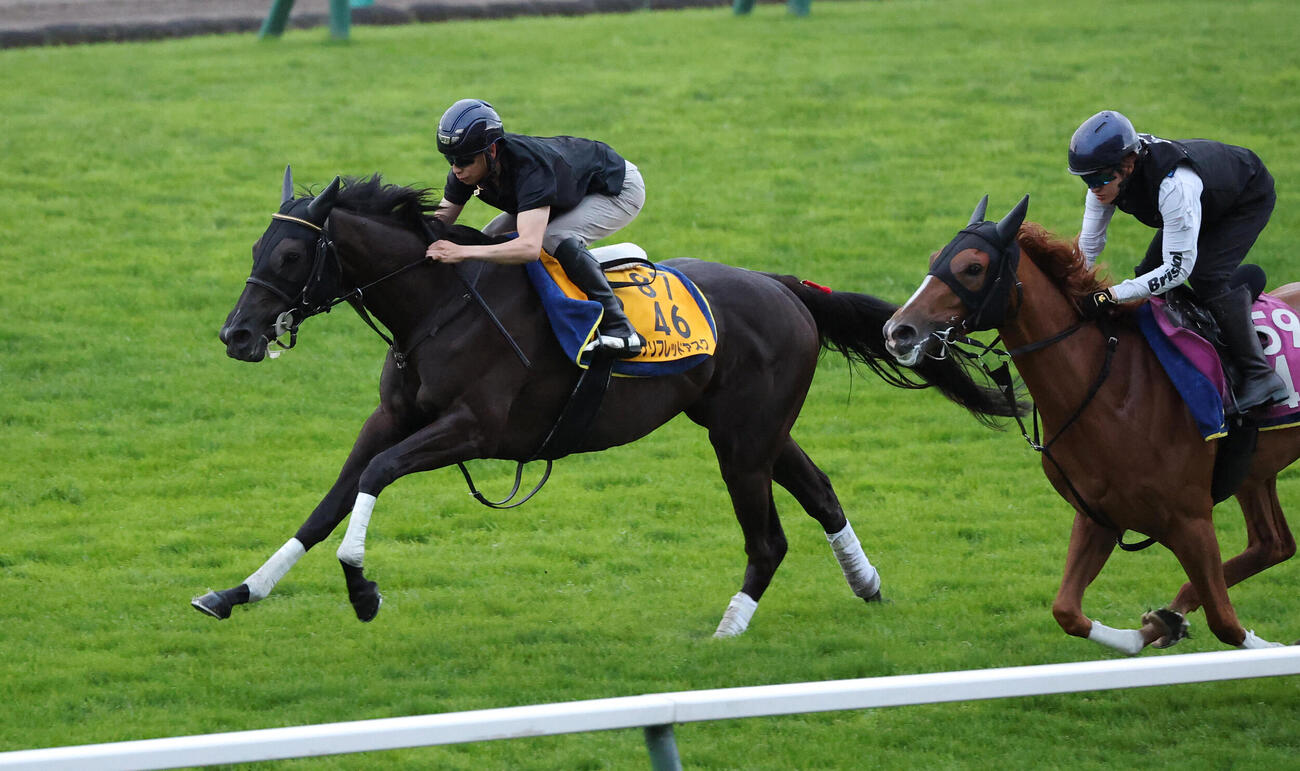 クイーンSに向け札幌競馬場の本馬場で横山武史騎手を背に追い切りを行ったケリフレッドアスク
