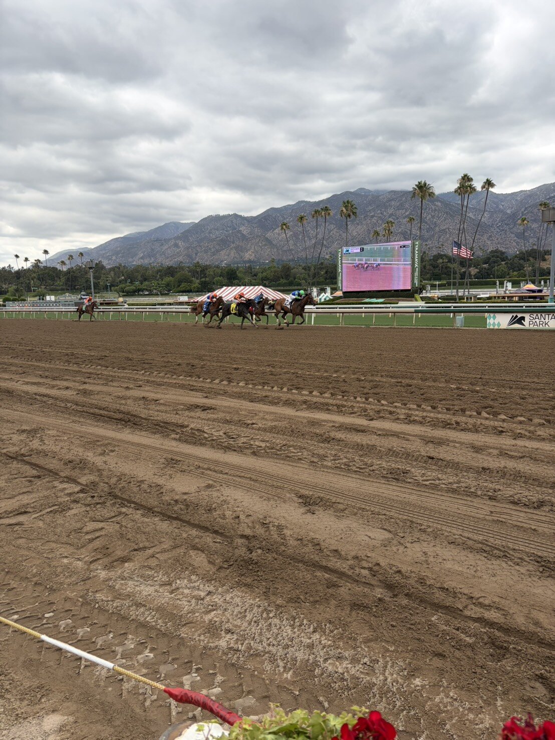 サンタアニタ競馬場のレース風景（撮影・水谷京裕）