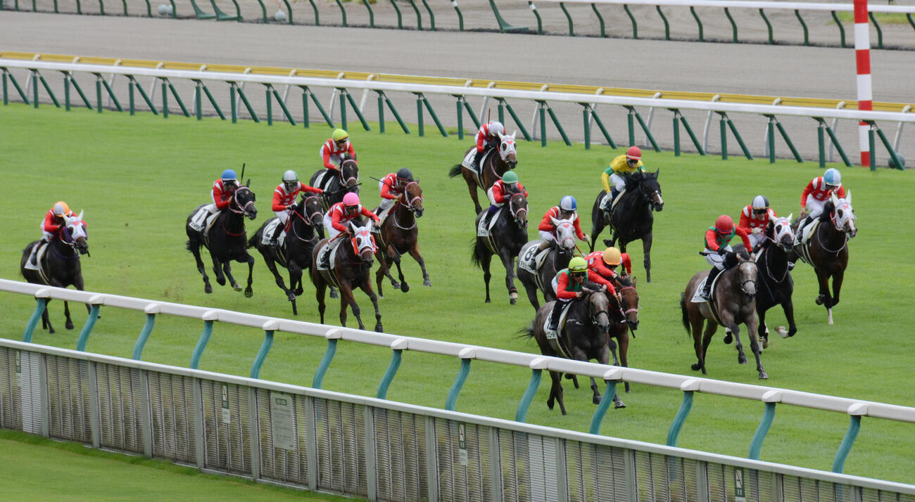 20年、ミルファーム所有馬が12頭出走も3着が最高となった